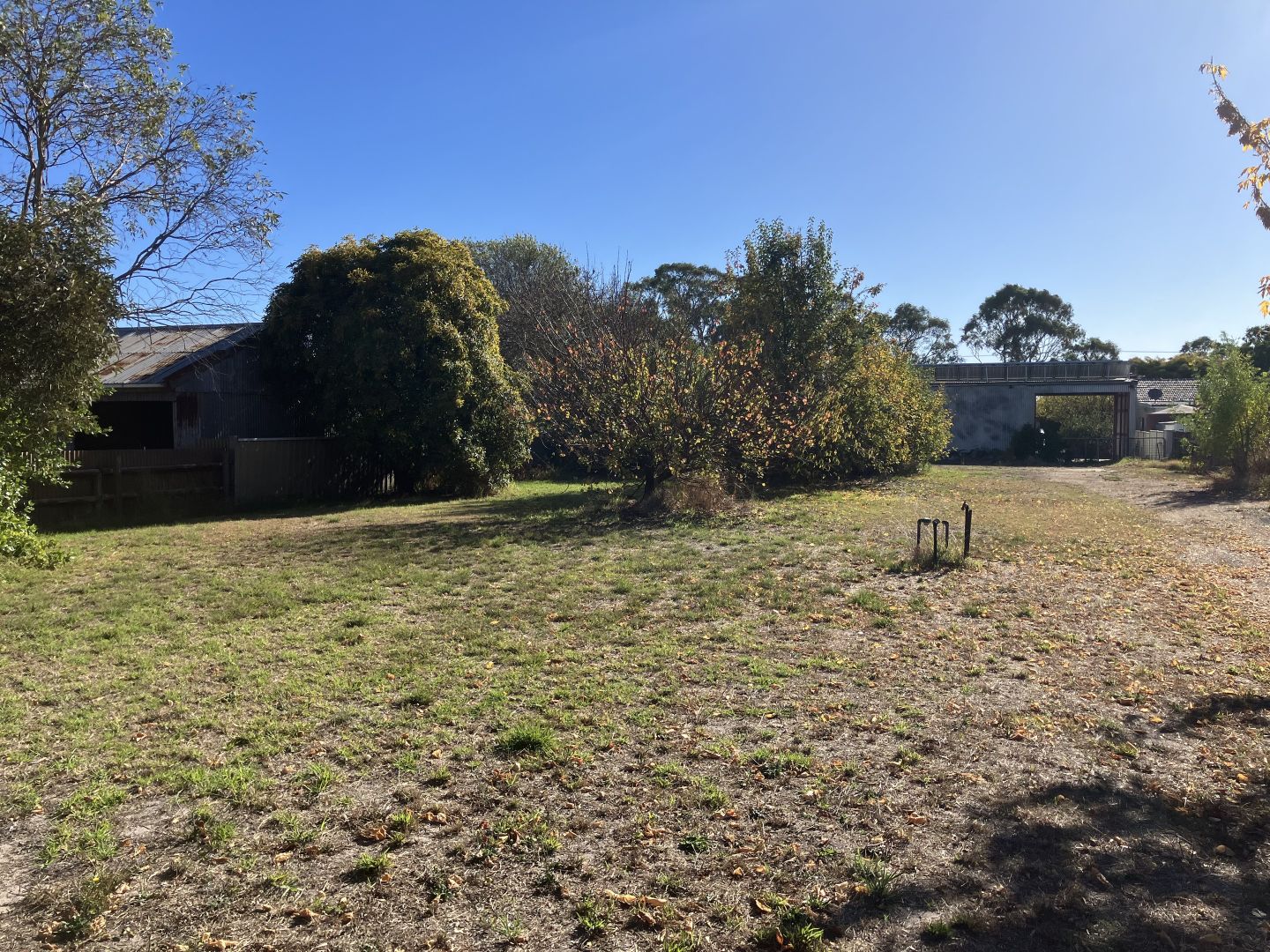 Proposed 144 Elizabeth Street, Edenhope VIC 3318, Image 2