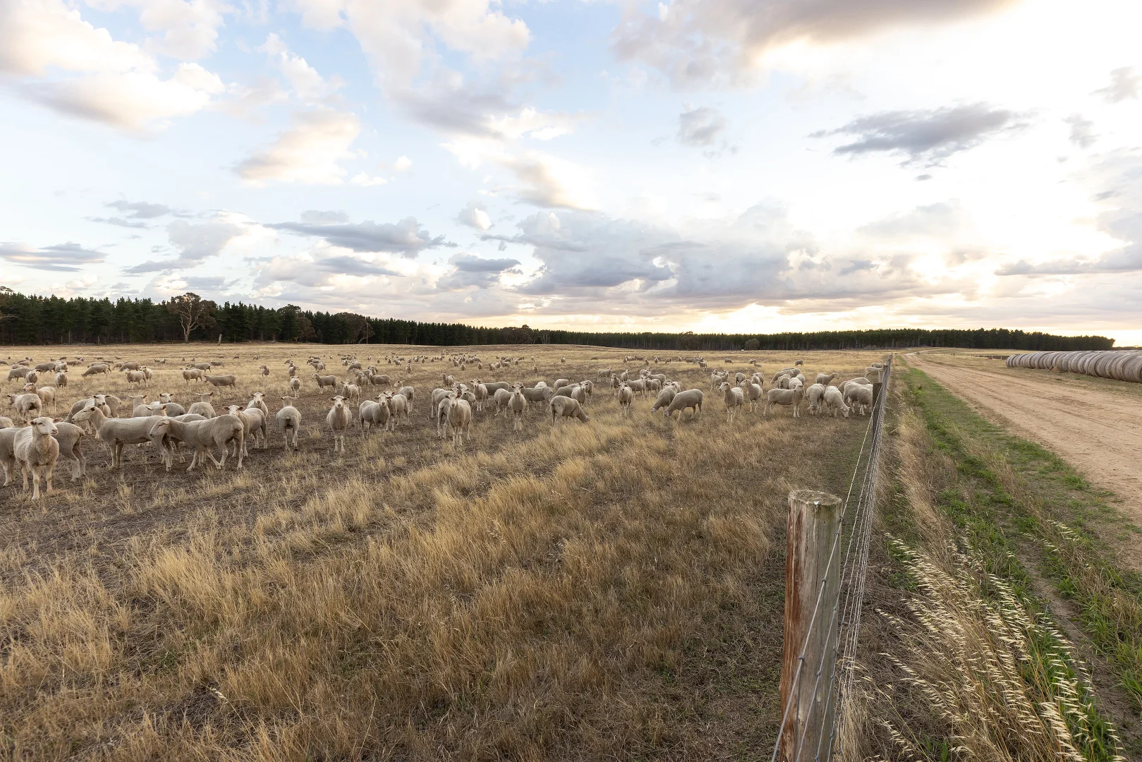 Additional image 20 of 2885 Frances Road, Bordertown SA 5268