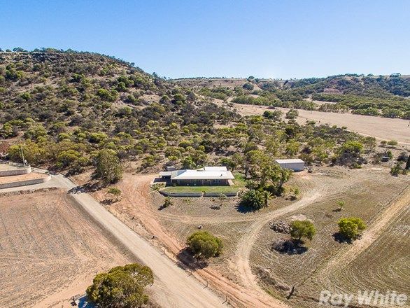 36 Mills Place, Waggrakine WA 6530, Image 1