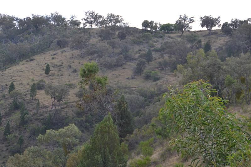 Lot 2/ "Cooees Mountain" Yarrabin Road, Yarrabin NSW 2850, Image 1