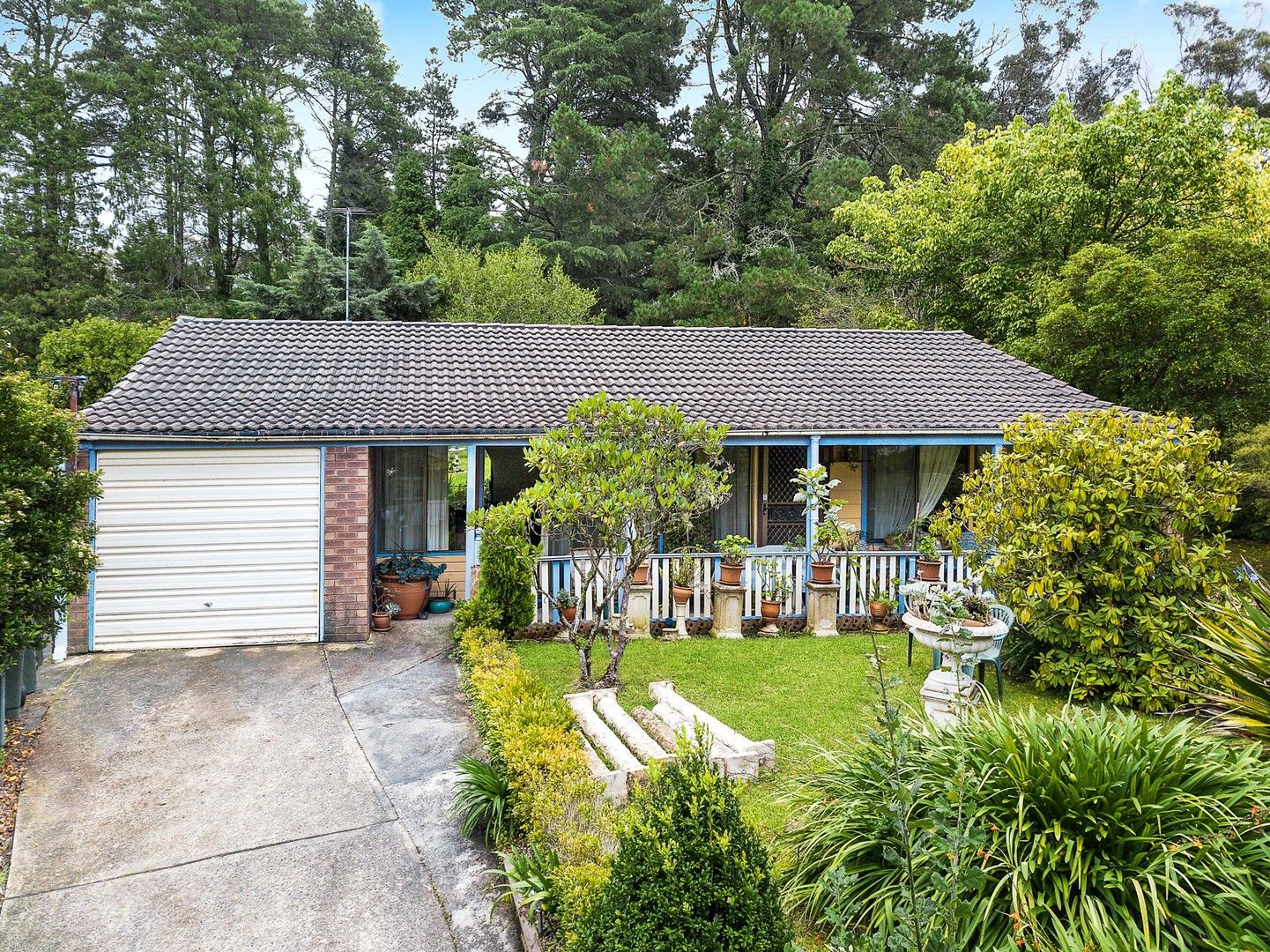 3 bedrooms House in 31 Fitzgerald Street WENTWORTH FALLS NSW, 2782