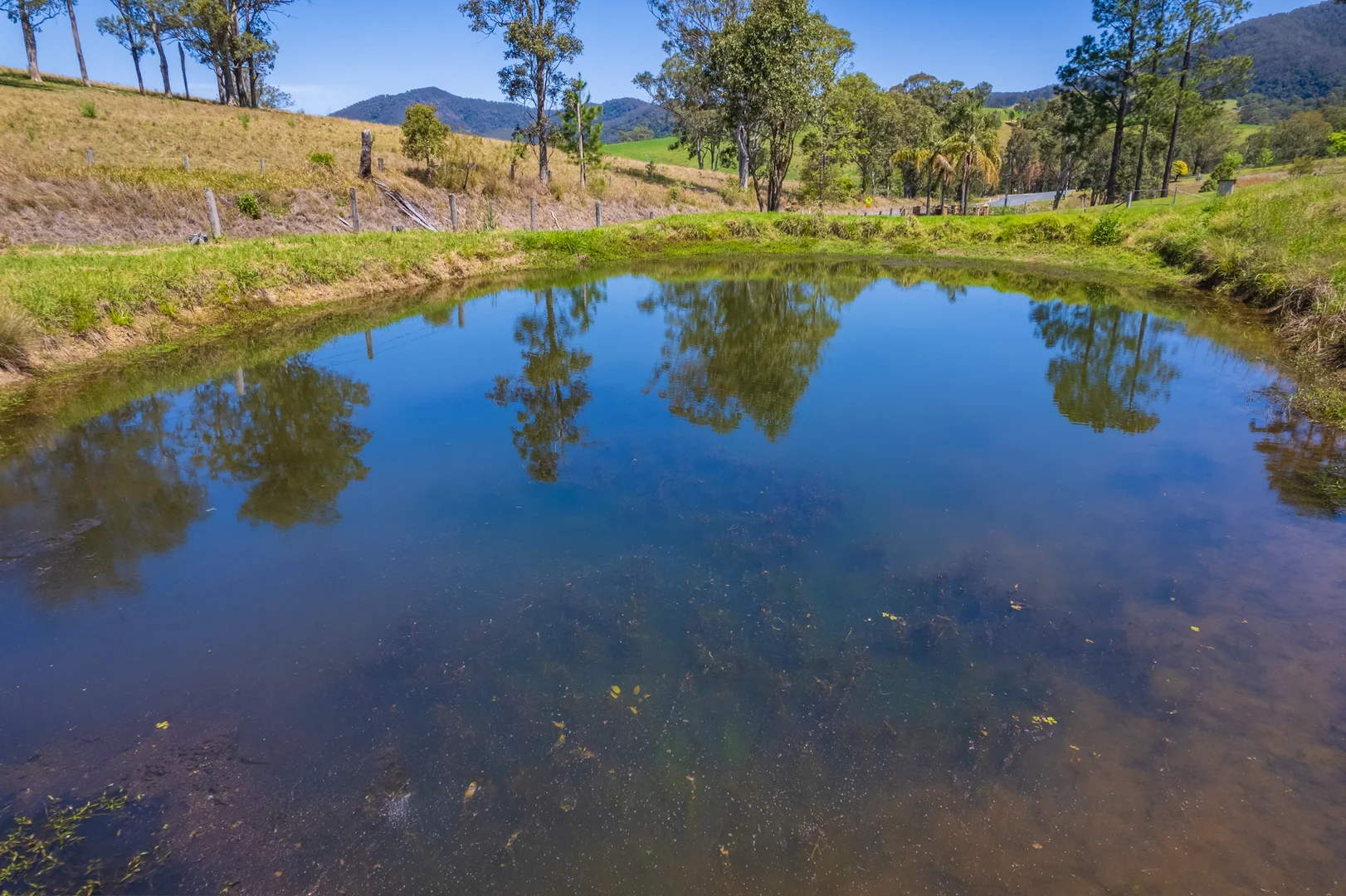 Additional image 52 of 302 Scone Road, Gloucester NSW 2422