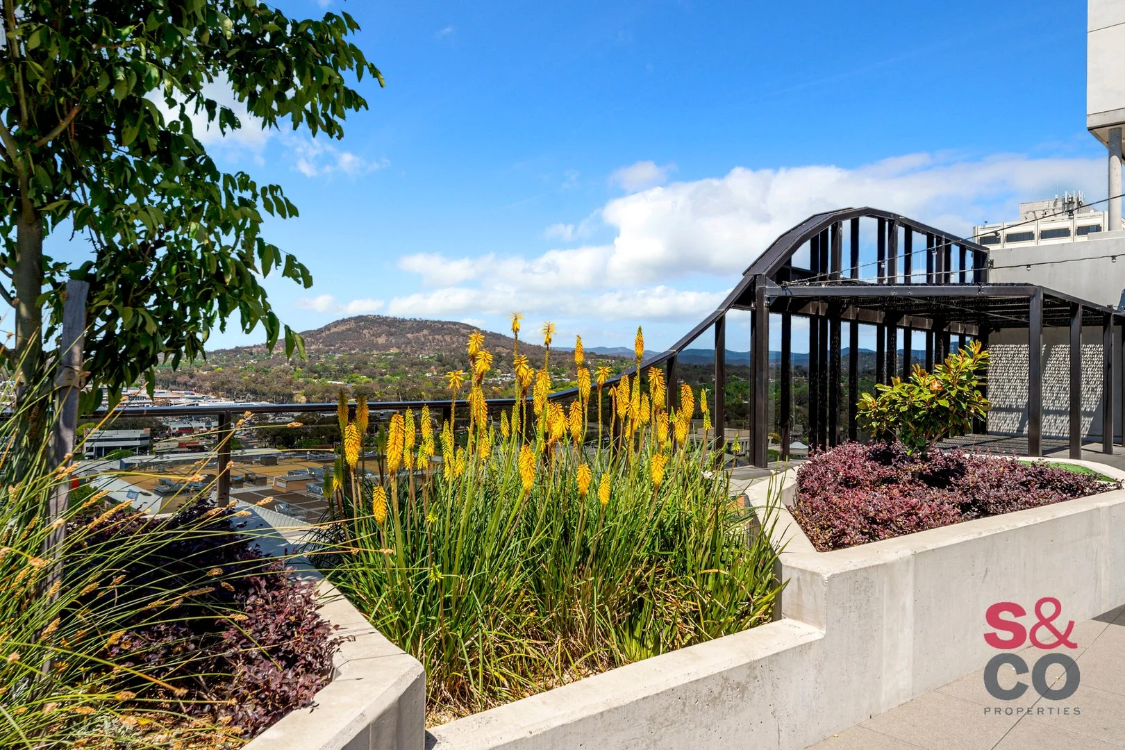 Additional image 13 of 1218/15 Bowes Street, Phillip ACT 2606