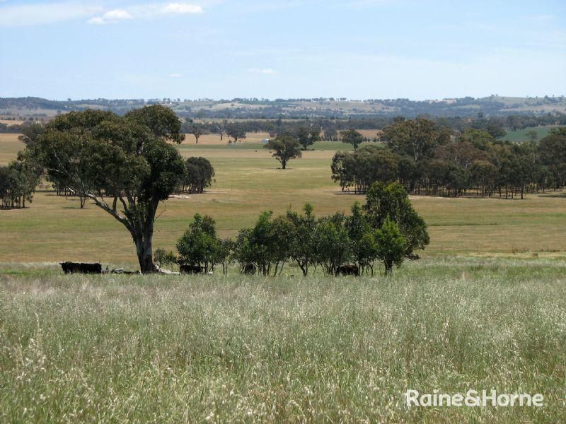 125 Grounds Road, Murringo NSW 2586, Image 0