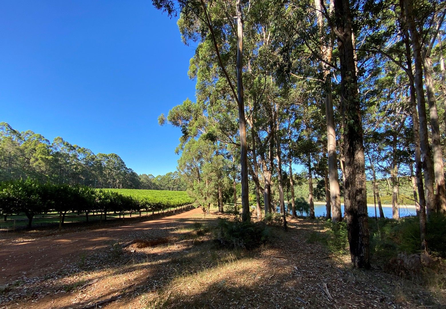 283 Old Vasse Road (Yeagarup), Pemberton WA 6260, Image 0