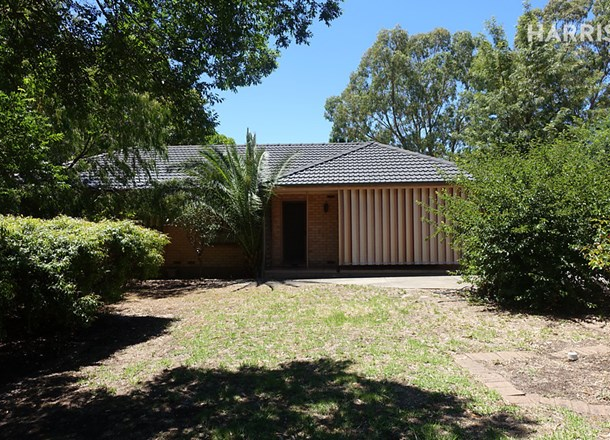 5 Soutchak Street, Fairview Park SA 5126