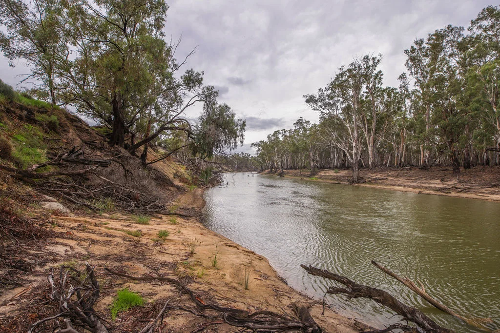 Additional image 22 of 'Old Hanley Park' 444 Greaves Road, Deniliquin NSW 2710