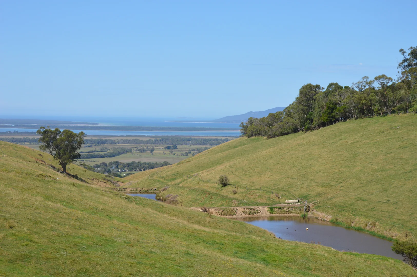 Image 15