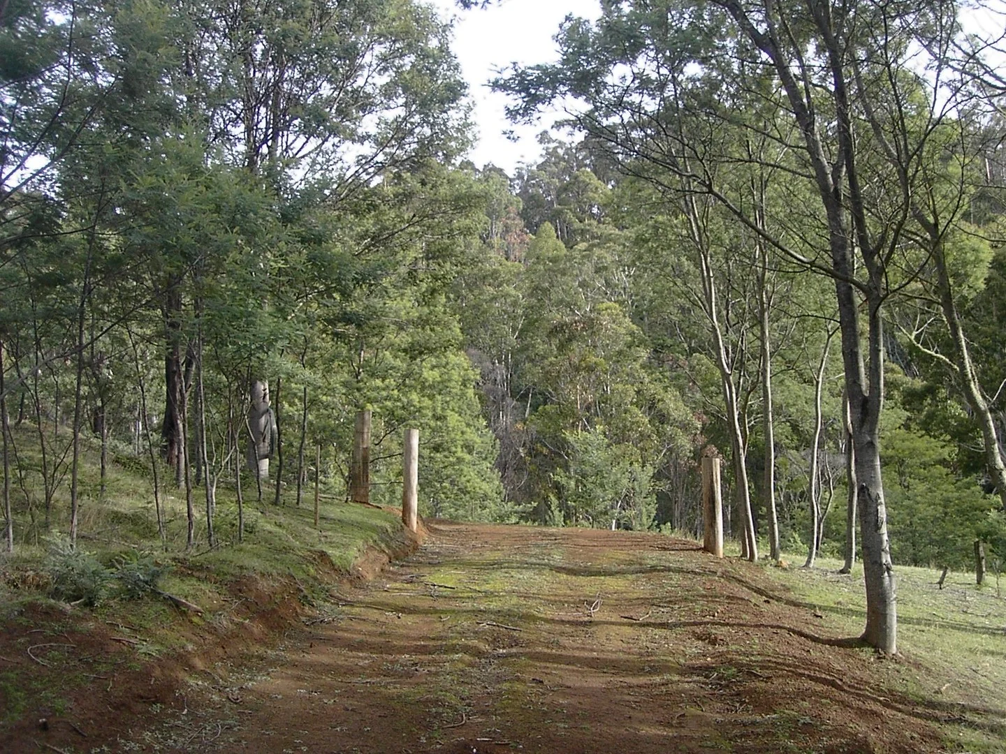 420 Springhill Bottom Road, Colebrook TAS 7027