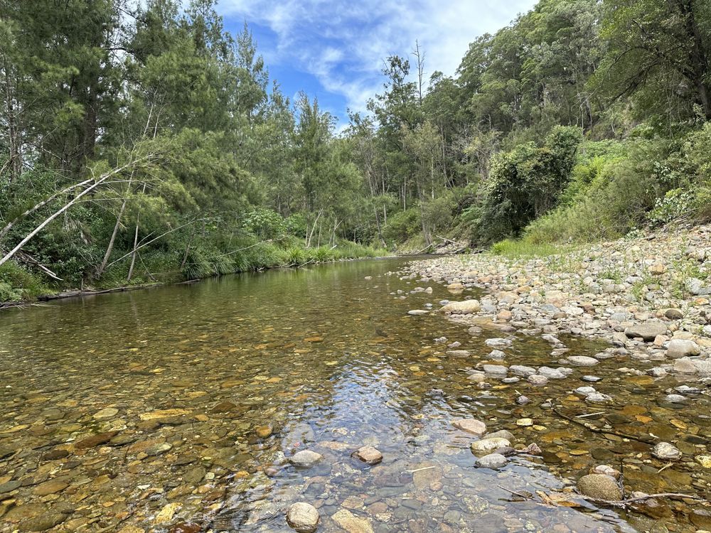 Lot 11 Five Day Creek Road, Bellbrook NSW 2440, Image 0