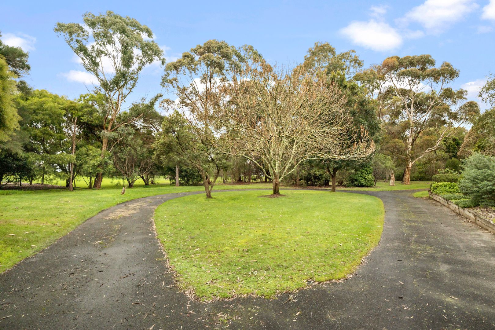 11 Woodlea Place, Langwarrin VIC 3910, Image 1