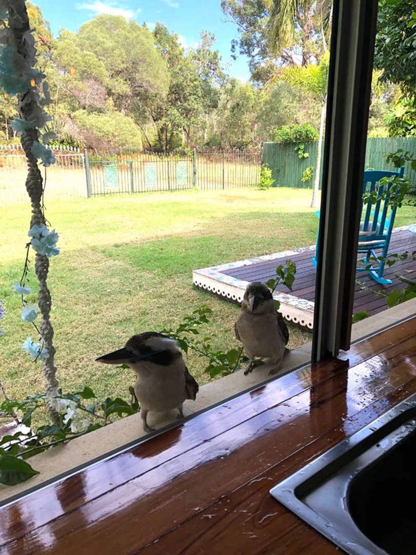 Additional image 17 of 12A Bracken Street, Woorim QLD 4507