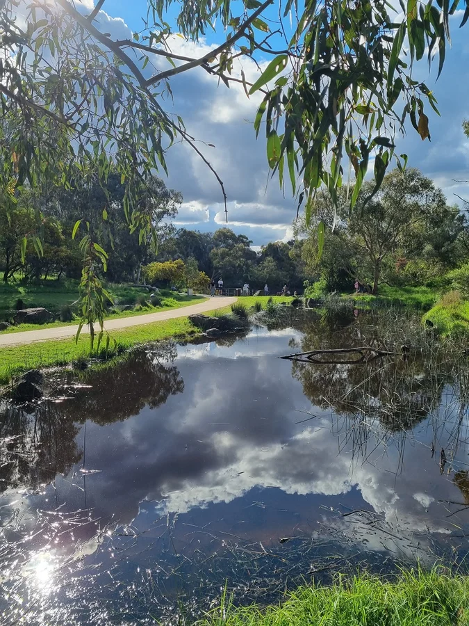 Additional image 15 of 5/42 St Elmo Road, Ivanhoe VIC 3079