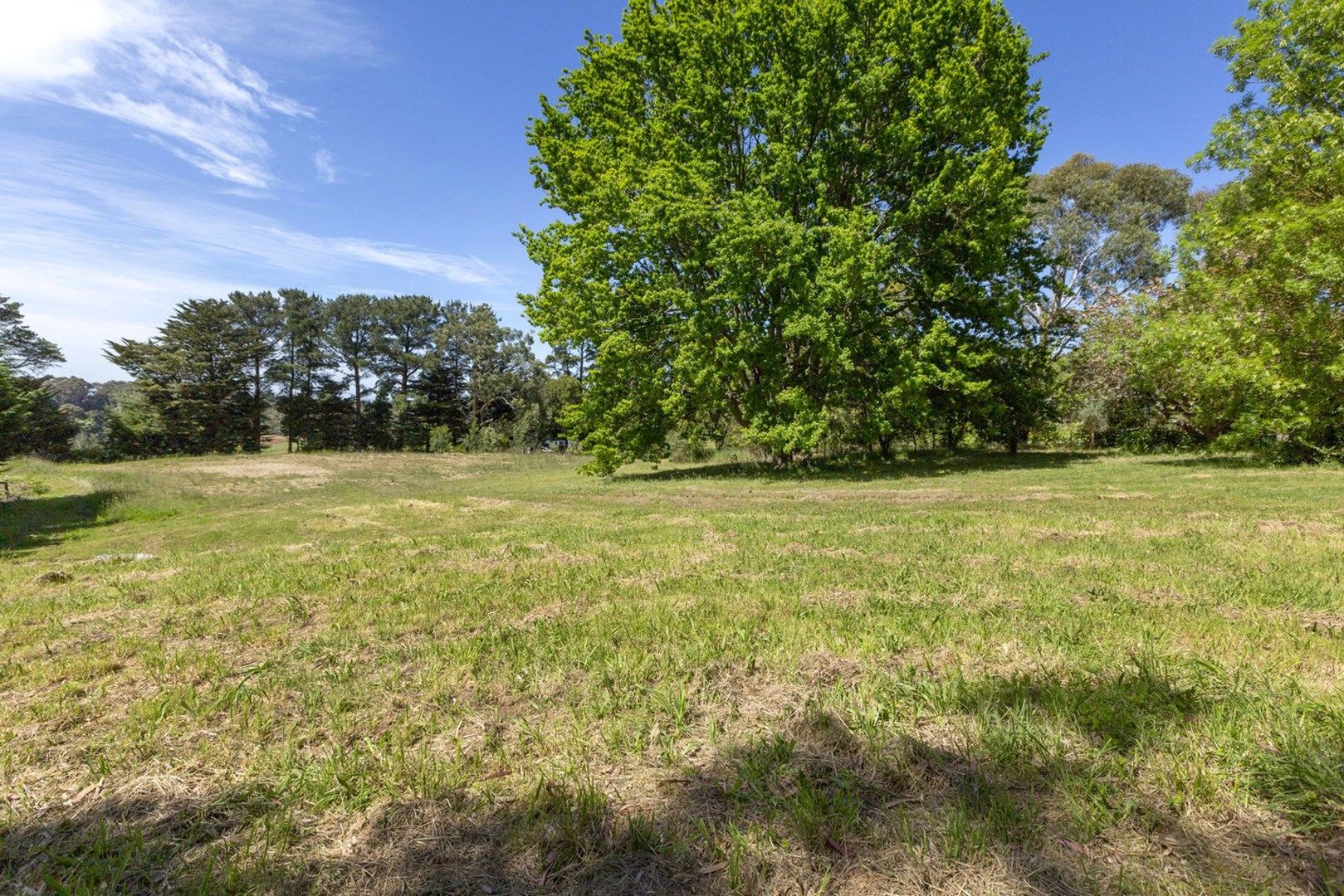 231 Red Hill Road, Red Hill VIC 3937, Image 0