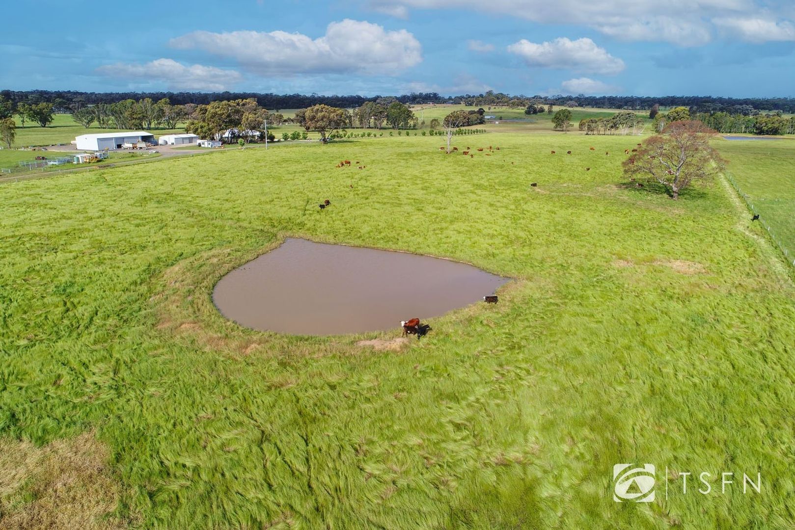 316 Axe Creek Road, Axe Creek VIC 3551 Vacant Land for Sale