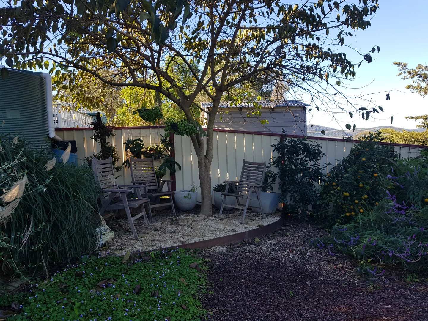 Image 19