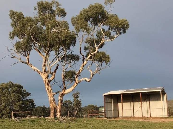 Additional image 15 of 1043 Black Heath Rd, Tungkillo SA 5236