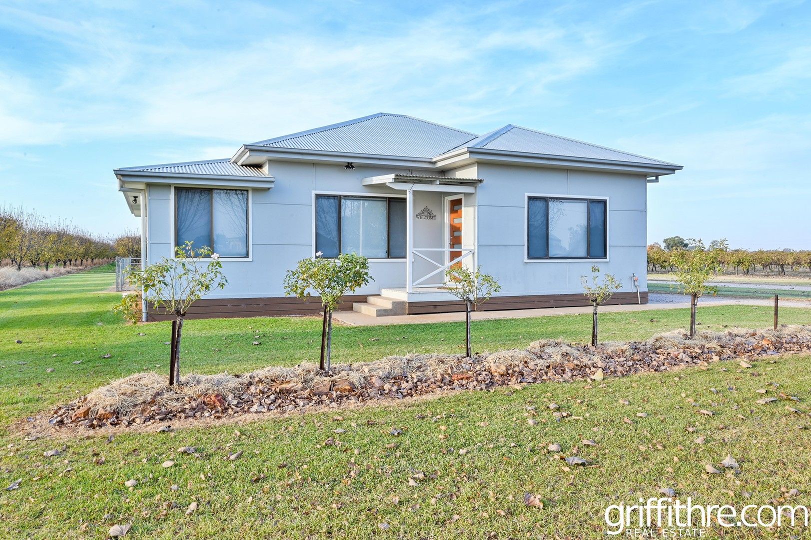 49 Barracks Road, Yenda NSW 2681 House For Rent 400 Domain