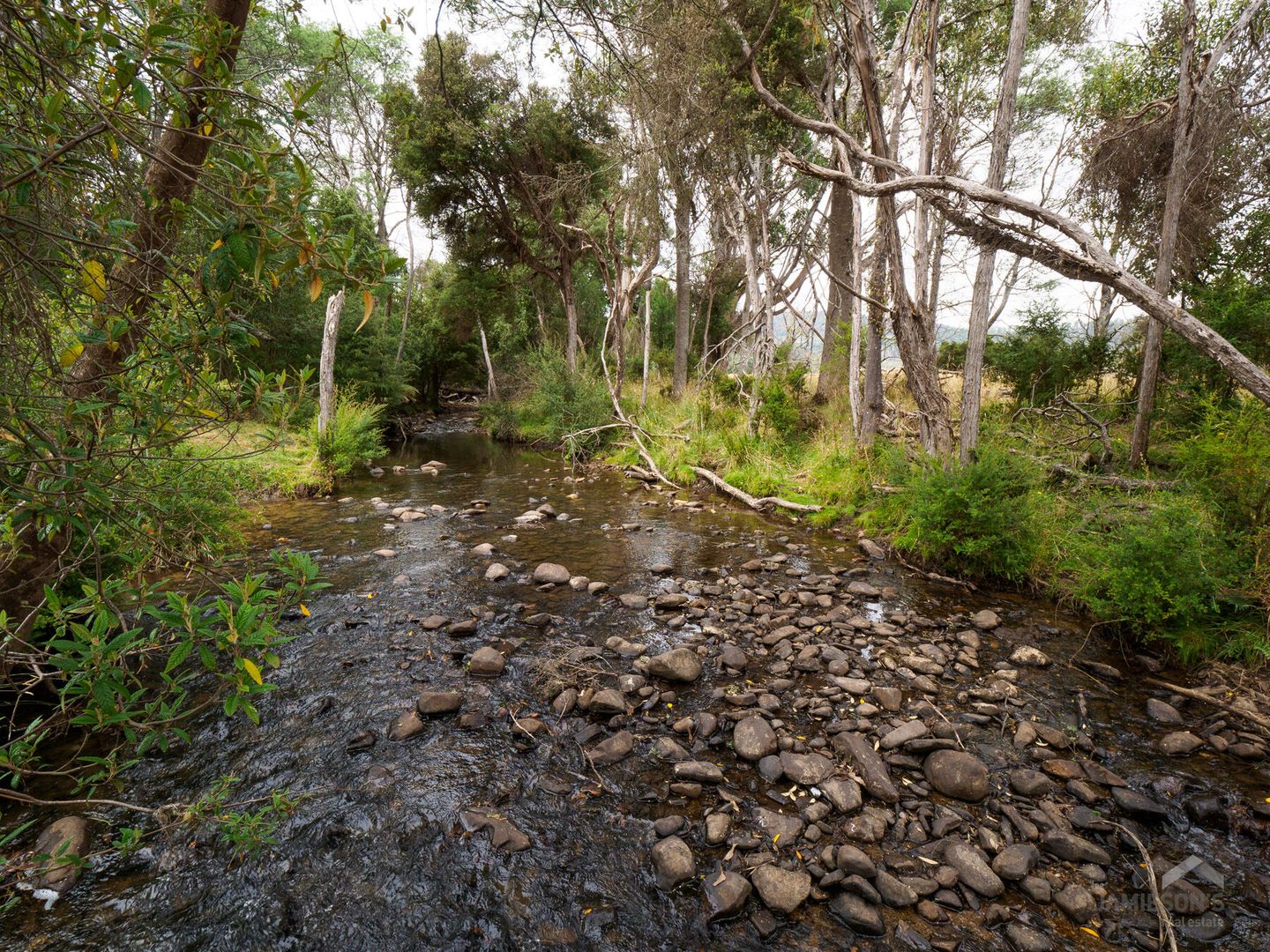 English Town Road, Deddington TAS 7212 Domain