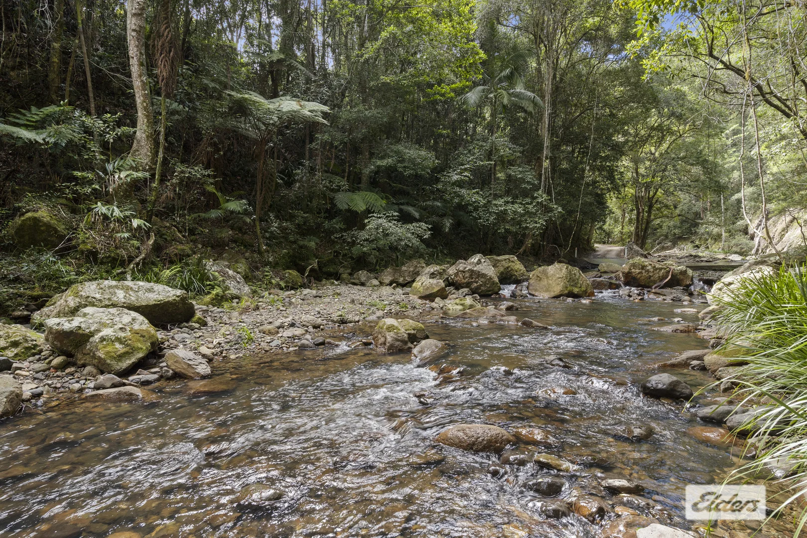 Additional image 6 of 374 Couchy Creek Road, Numinbah NSW 2484