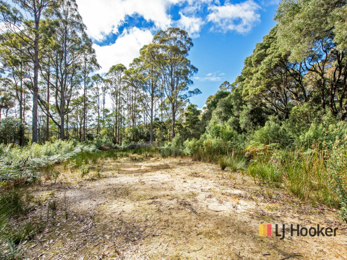 00 Deep Creek Road, Mount Hicks TAS 7325, Image 0