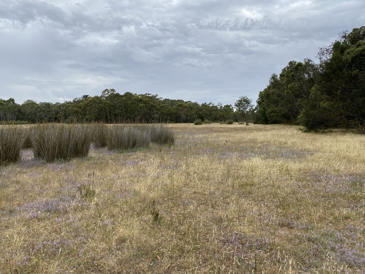 Lot 7 PS422644 Border Road, Strathdownie VIC 3312, Image 2