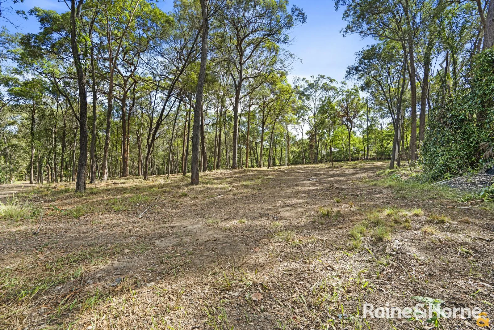 Additional image 11 of 360 Prout Road, Burbank QLD 4156