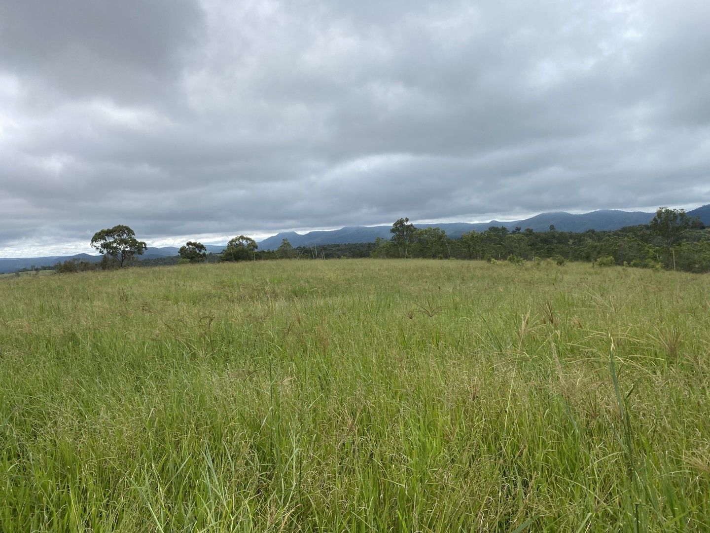 Mount Perry QLD 4671, Image 0