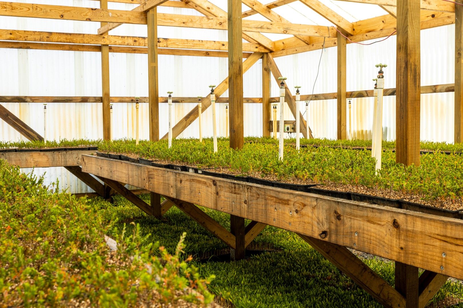 WonwondahDadswells Bridge Road, Laharum VIC 3401 House for Sale