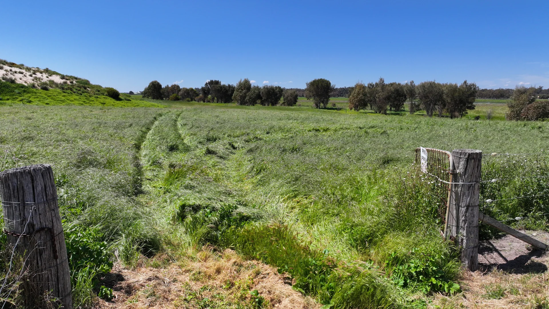 Image 10