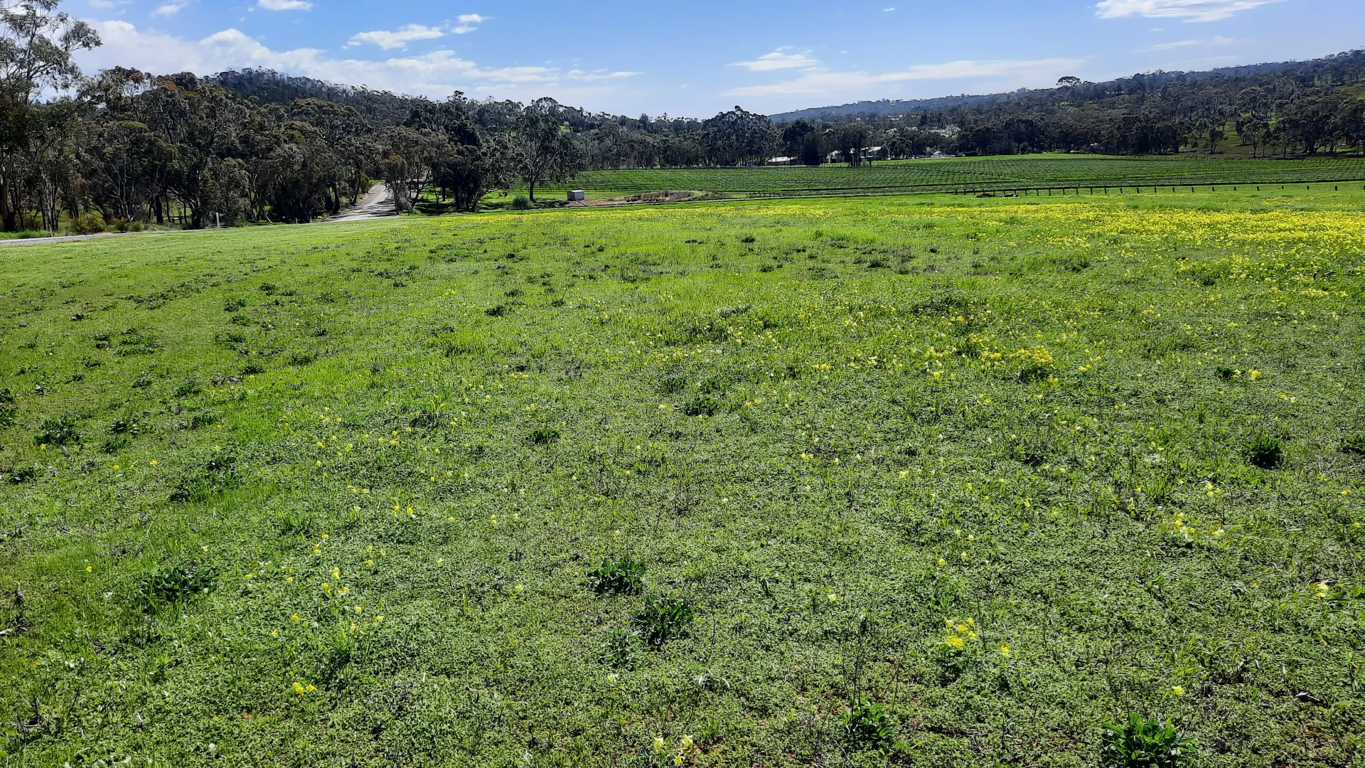 Additional image 13 of 285 Neagles Rock Road, Clare SA 5453