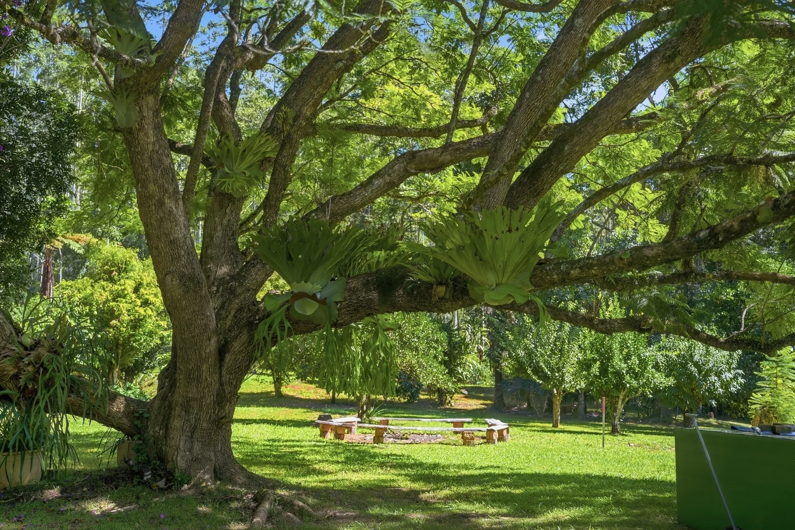 606 Darkwood Road, Bellingen NSW 2454