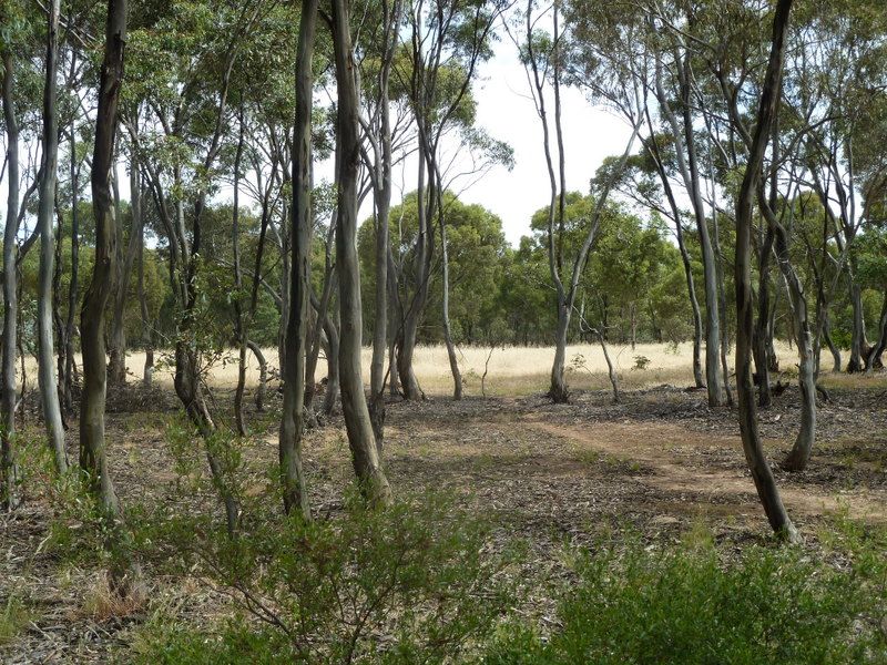 Lot 4 Cnr Old Boort & Sailors Gully Road, Wedderburn VIC 3518 House for Sale 160,000