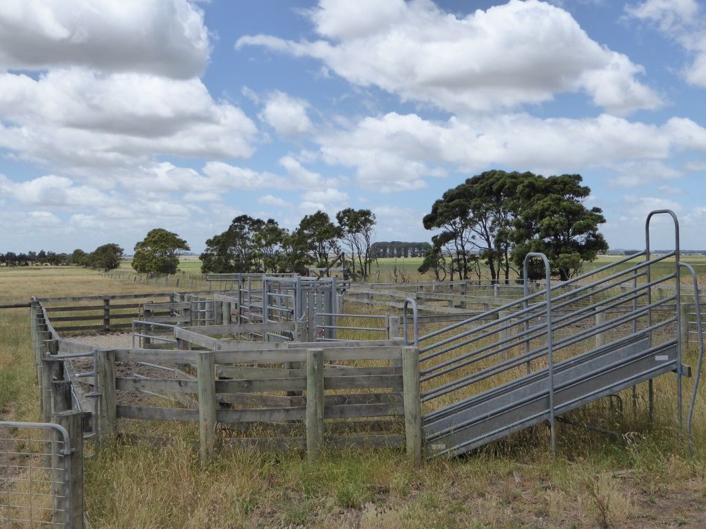 - Terang-Woolsthorpe Road, Ballangeich VIC 3279, Image 2