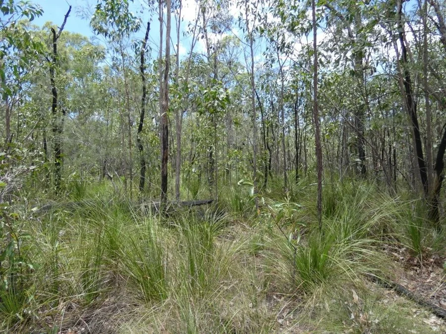 Image 15