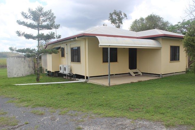 Picture of 10 Aldis Road, ST HELENS BEACH QLD 4798