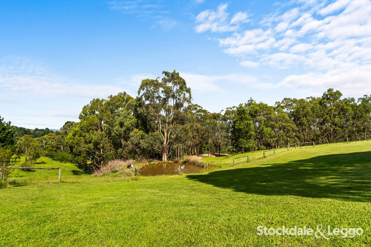 Additional image 31 of 202 Jeeralang West Road, Jeeralang Junction VIC 3840
