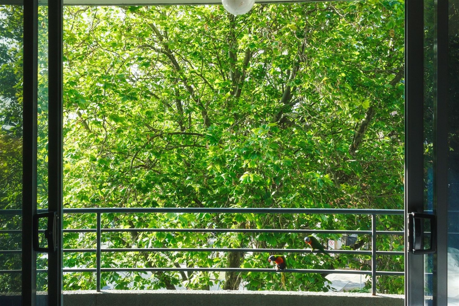 1 bedrooms Studio in 305/81 Queens Road MELBOURNE VIC, 3004