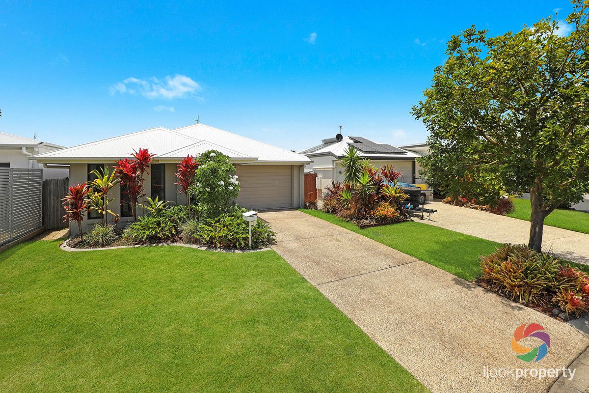 8 Barramundi Court, Mountain Creek QLD 4557 House For Rent Domain