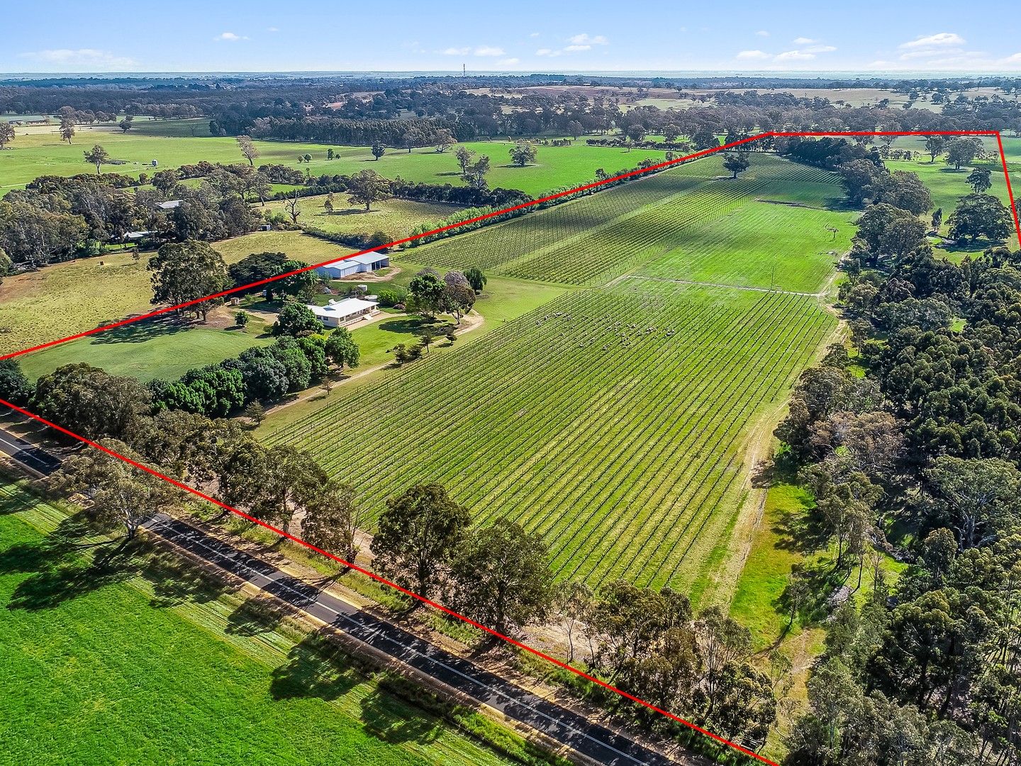 675 Cadgee Road, Naracoorte SA 5271, Image 1