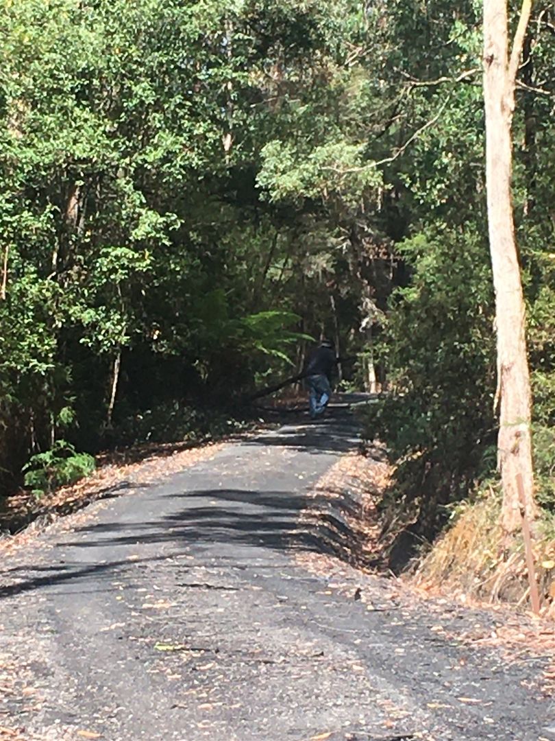 198 Whitehills Road, Penguin TAS 7316 House for Sale 1,700,000