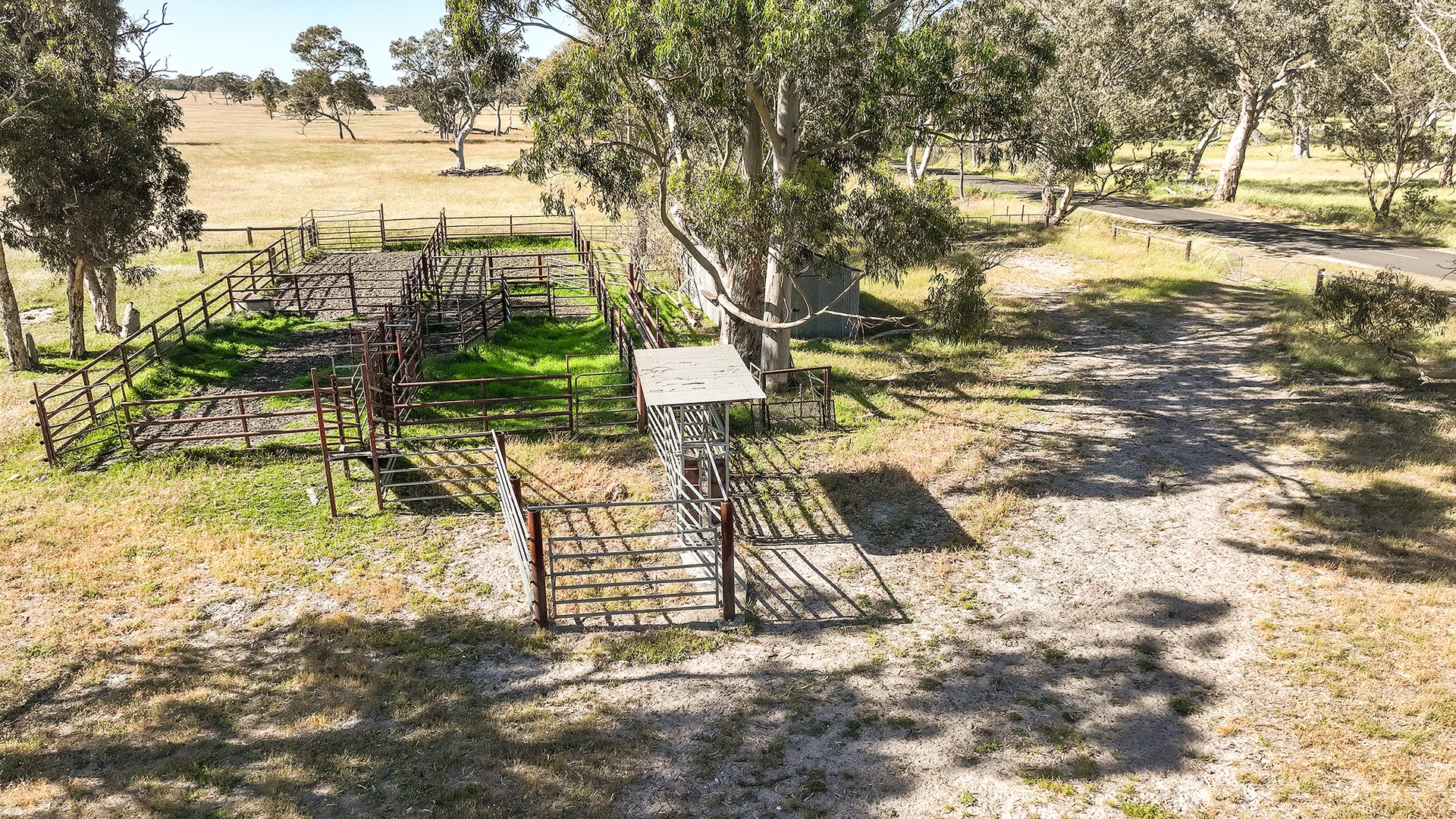 Image 14