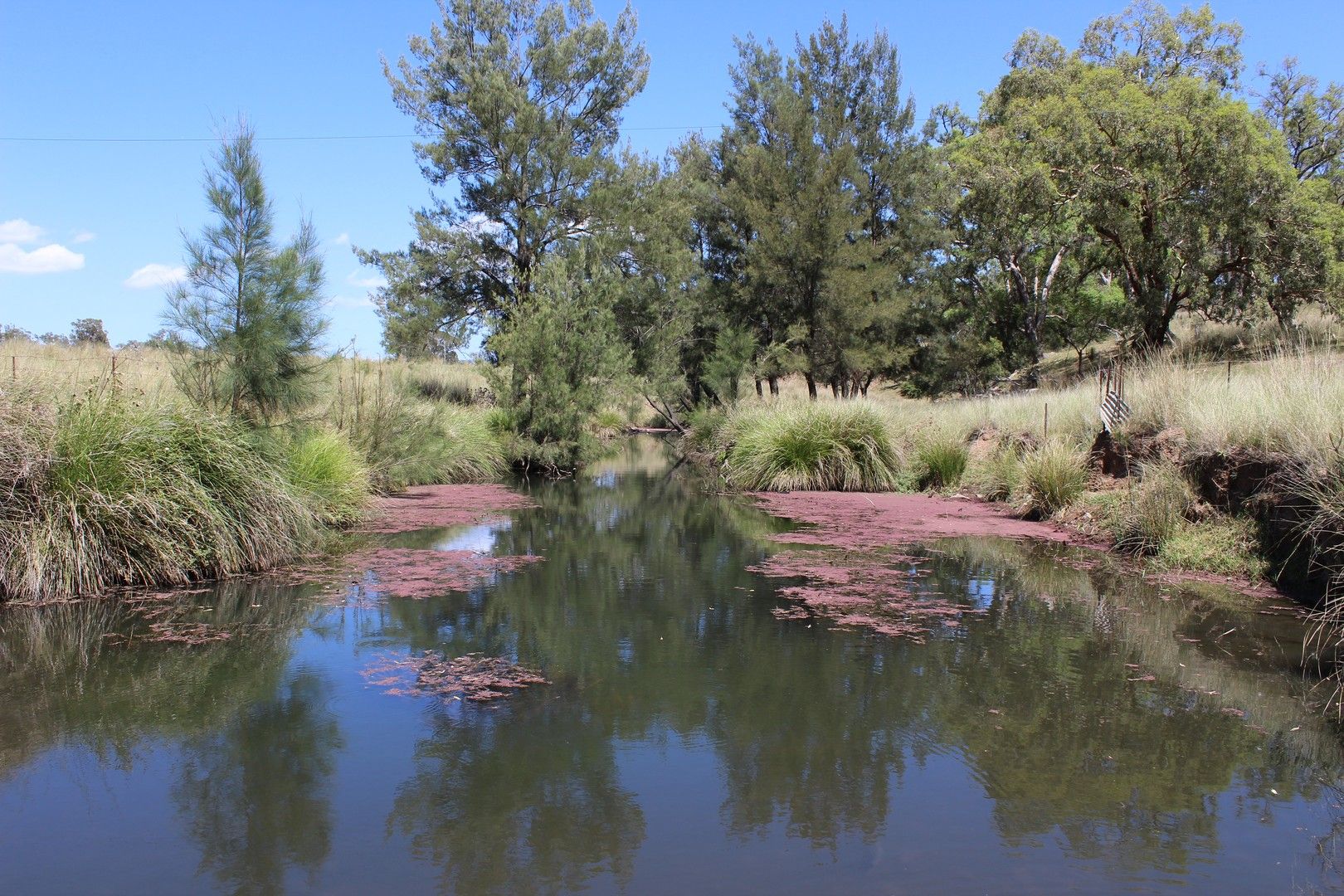 "High Valley" 243 Back Creek Road, Narrabri NSW 2390, Image 0