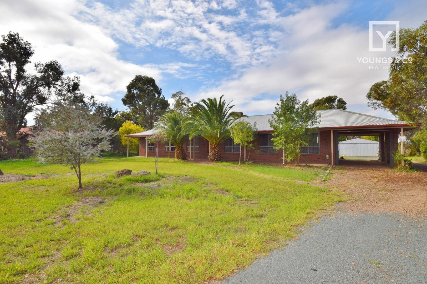 4 bedrooms House in 240 Excelsior Avenue ARDMONA VIC, 3629
