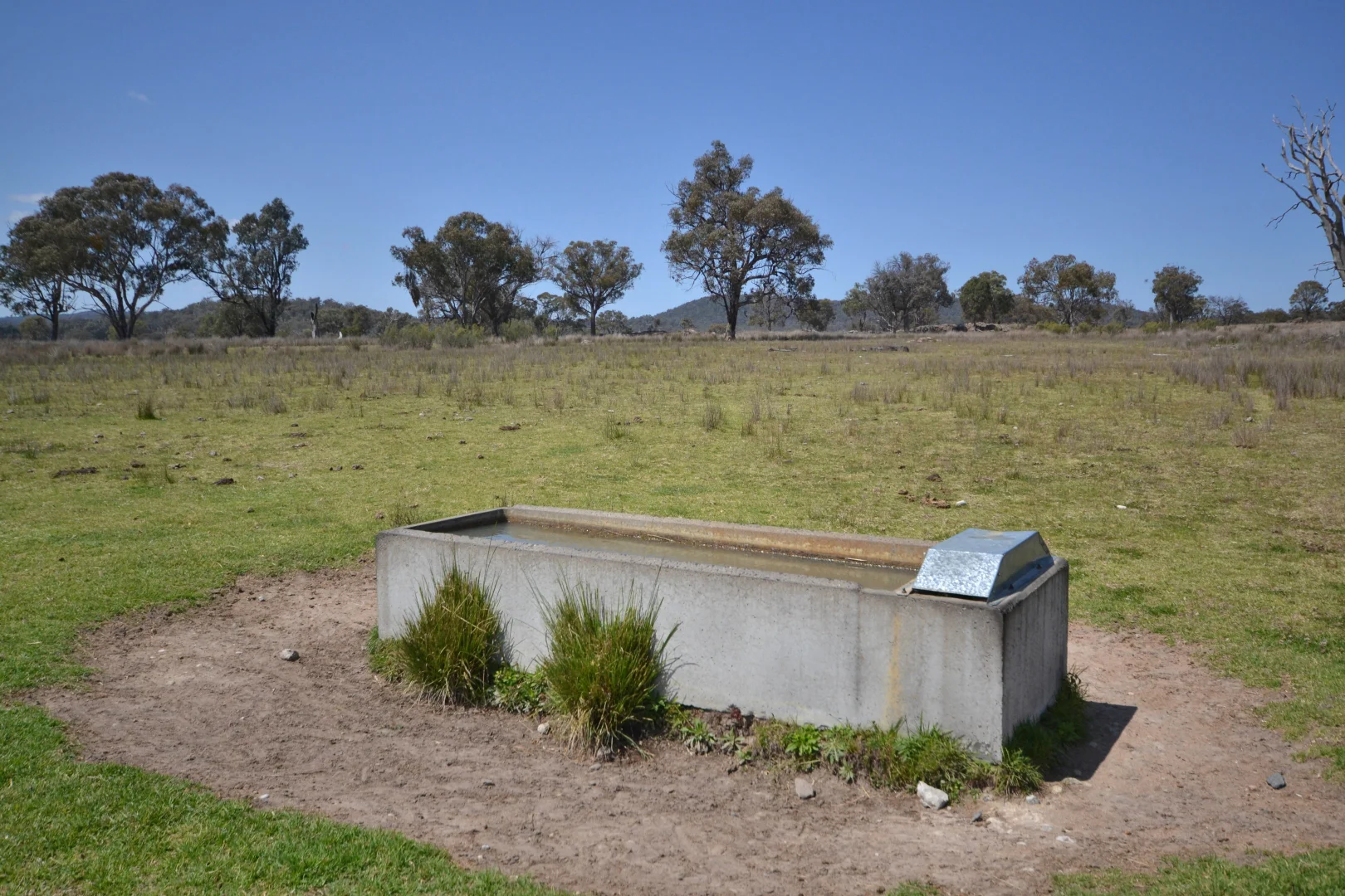 Image 16