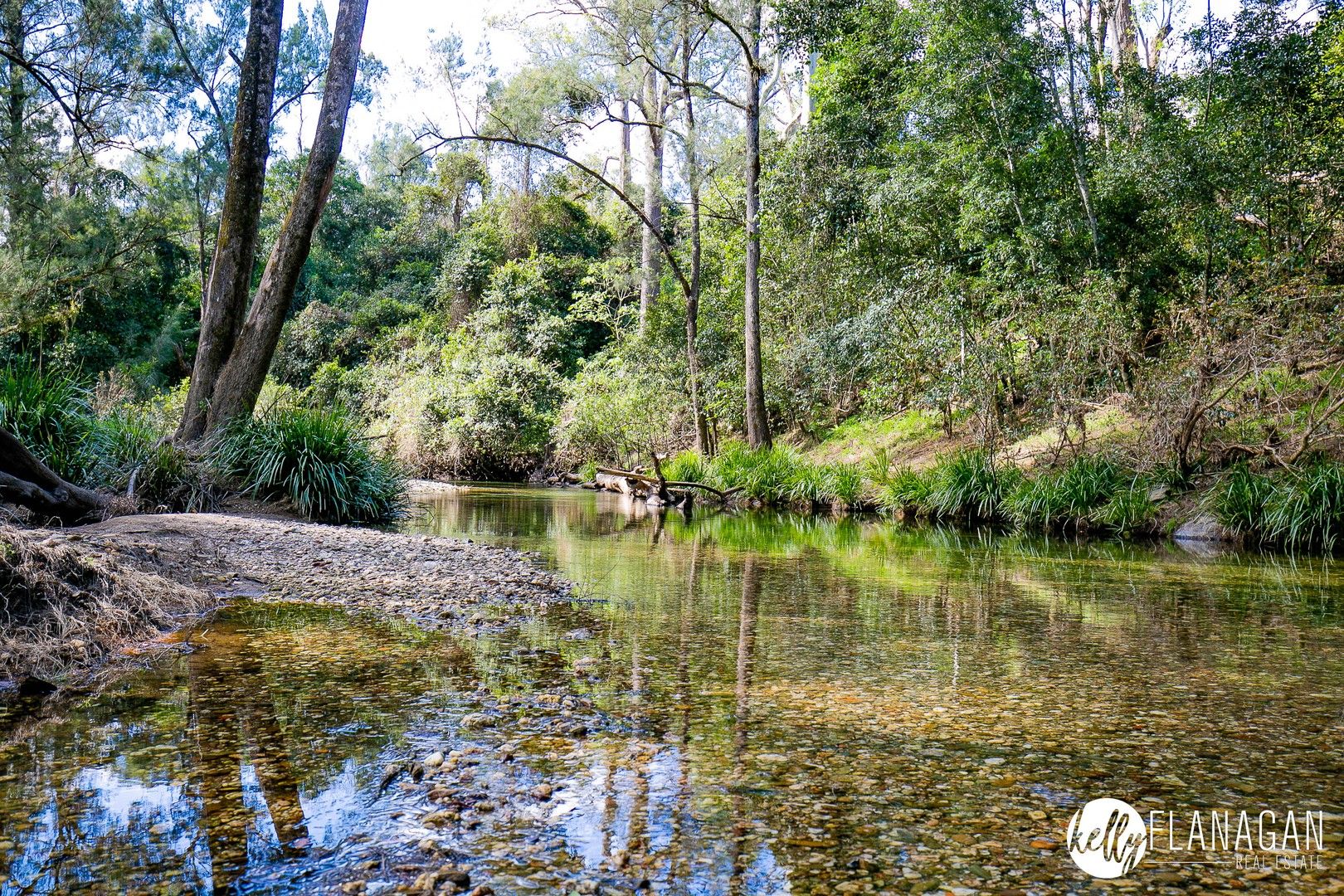 1725 Nulla Nulla Creek Road, Bellbrook NSW 2440 House for Sale