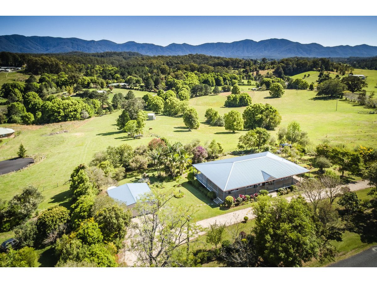 81 North Bank Road, Bellingen NSW 2454, Image 0