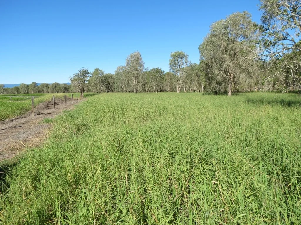 Additional image 29 of Pomona Road, Ingham QLD 4850