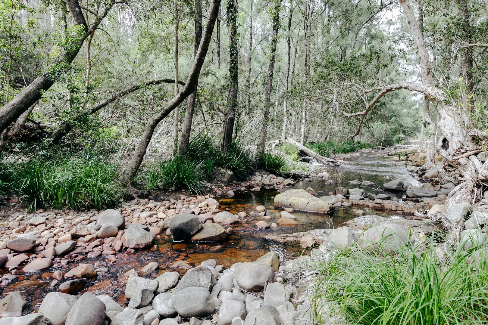 Image 37