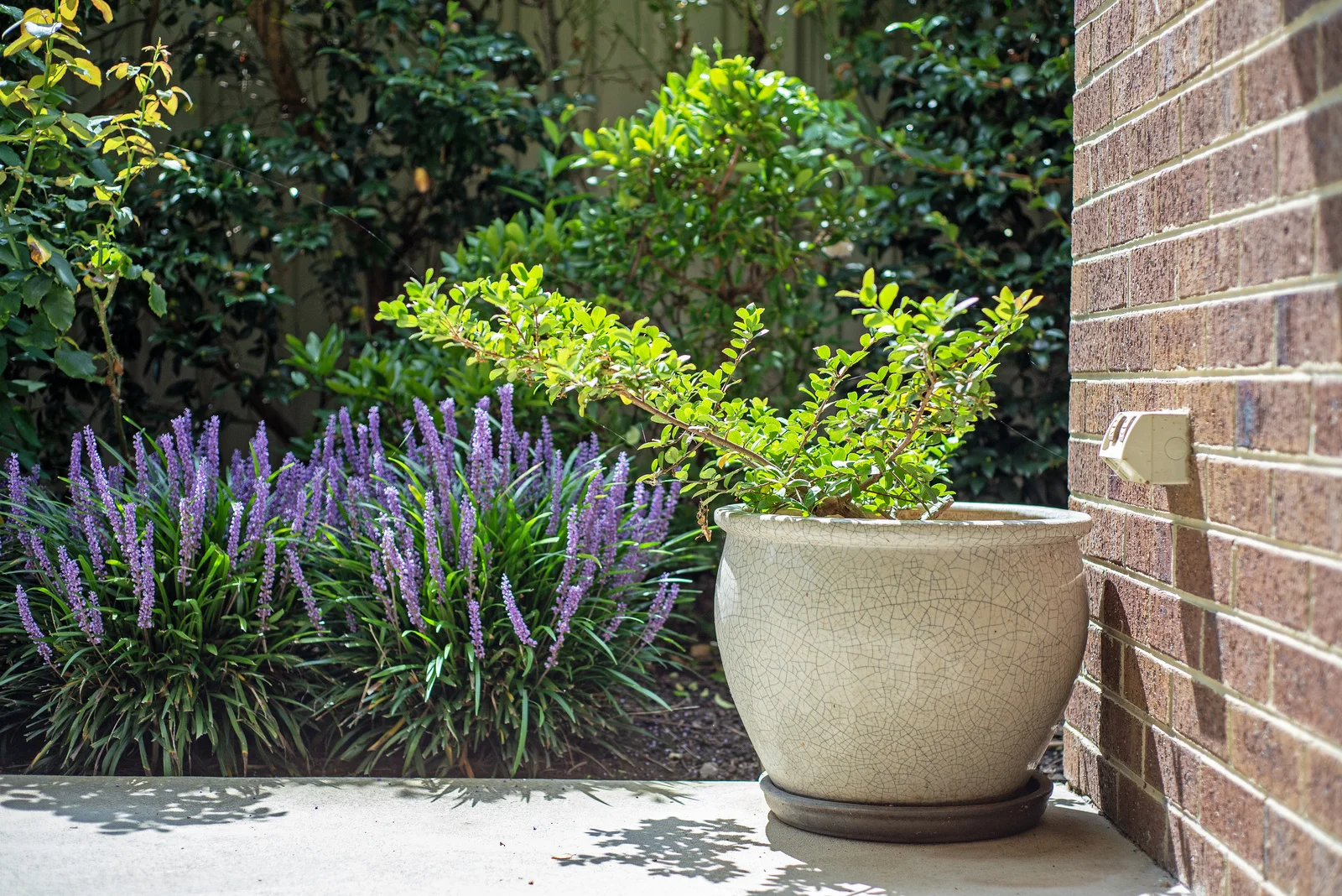 Additional image 13 of 1/42 Ross Street, Sale VIC 3850